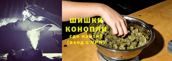 ешки Бронницы