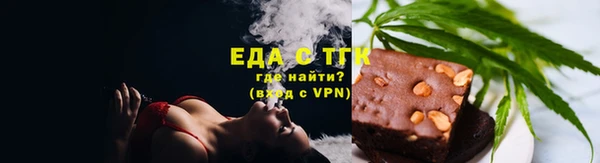 индика Тутаев