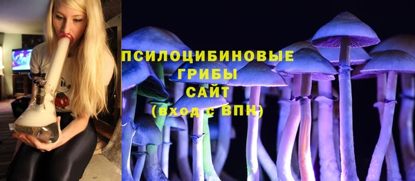 ALPHA PVP Бородино