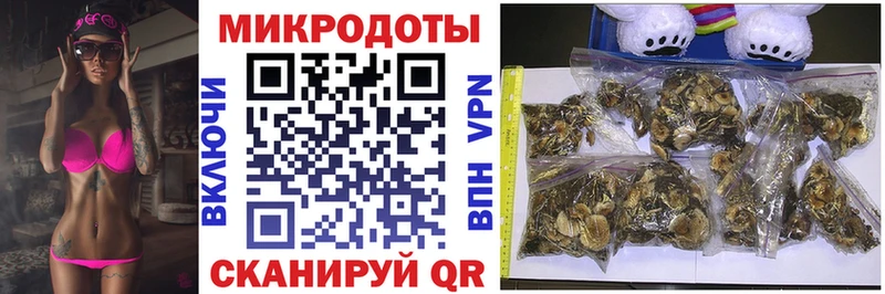 Псилоцибиновые грибы MAGIC MUSHROOMS  где продают   гидра ссылка  Кольчугино 